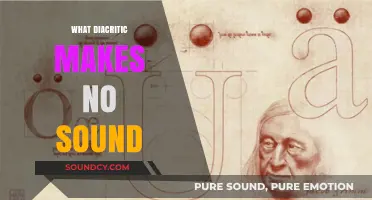 Silent Mark: The Diacritic That Adds Meaning Without Sound