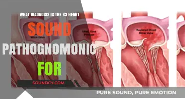 Decoding the S3 Heart Sound: A Key to Early Diagnosis