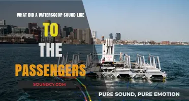 Echoes of the Deep: A Passenger's Perspective on the Waterscoop's Song