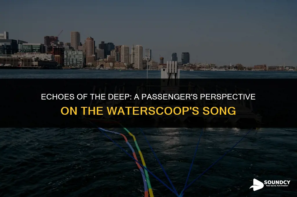 what did a waterscoop sound like to the passengers