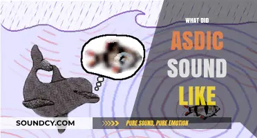 Unveiling the Eerie Echoes: What Did ASDIC Sound Like?