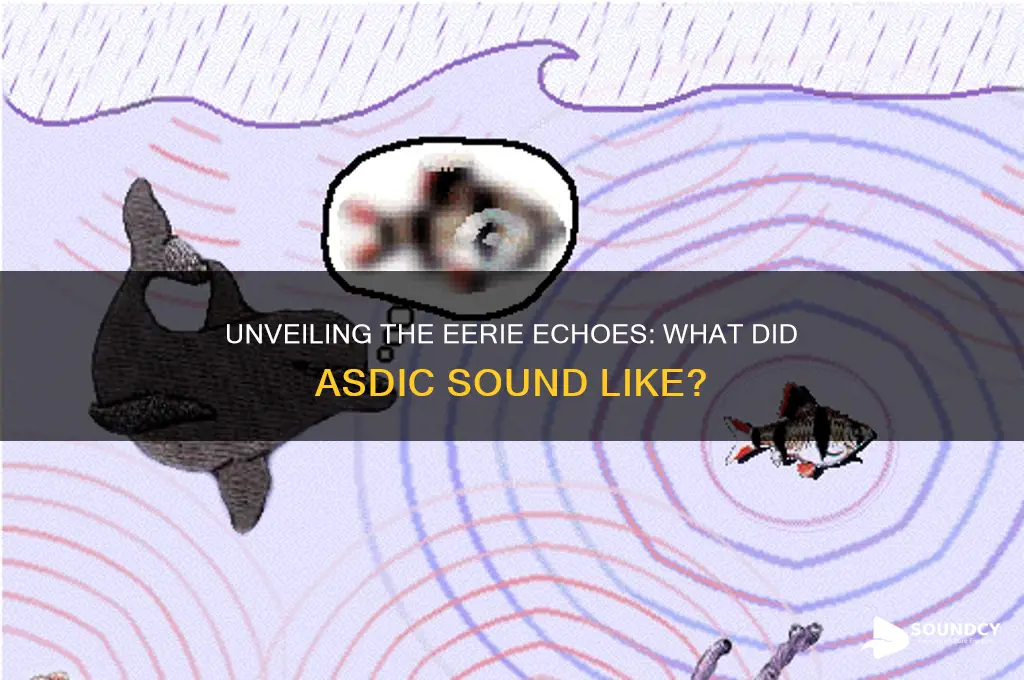 what did asdic sound like