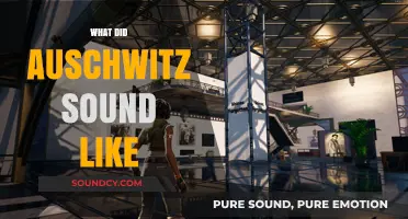 Echoes of Auschwitz: Unveiling the Haunting Sounds of a Dark Past
