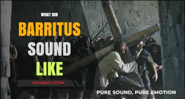 Unveiling the Ancient Barritus: Reconstructing the Sound of Roman War Cries