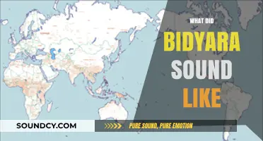 Unveiling the Lost Melody: Reconstructing Bidyara's Ancient Language Sounds