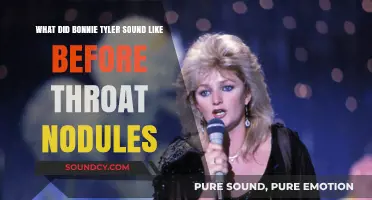 The Evolution of Bonnie Tyler's Voice: A Look Back