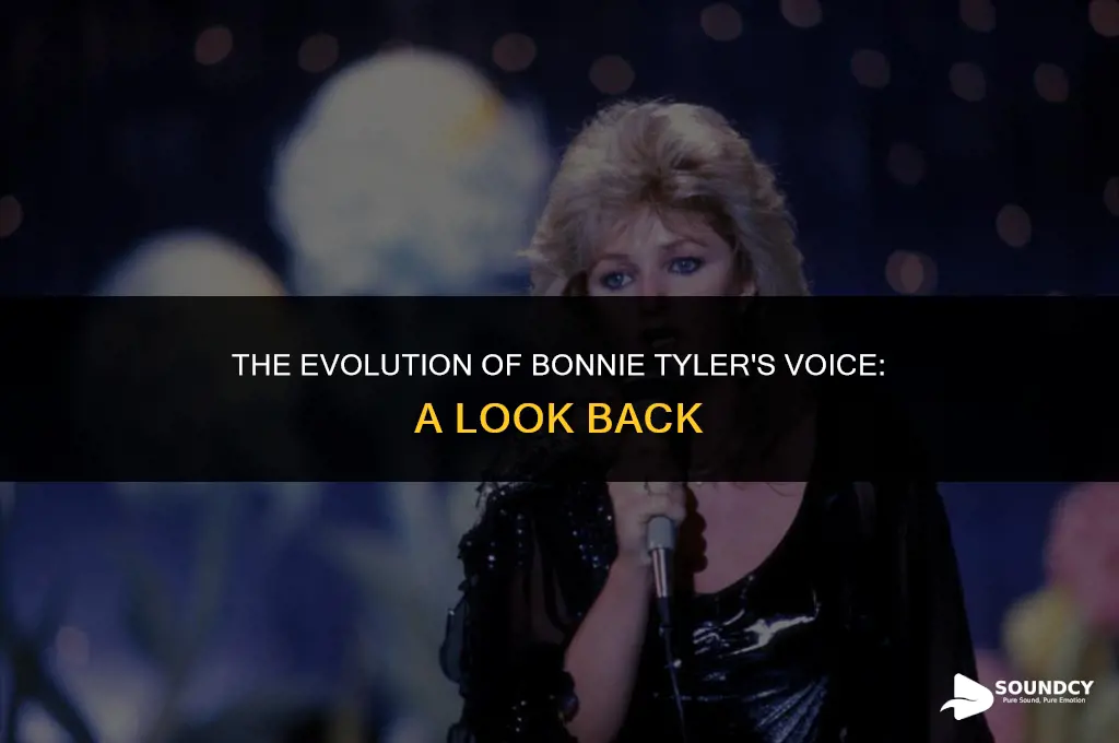 what did bonnie tyler sound like before throat nodules