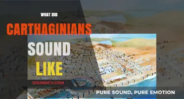 Unveiling Carthage's Lost Voice: Reconstructing the Sounds of the Carthaginians