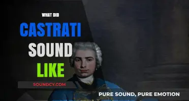 Unveiling the Unique Vocal Legacy of the Castrati Singers