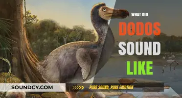 Unveiling the Lost Calls: Reconstructing the Vocalizations of Extinct Dodos
