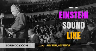 Unveiling Einstein's Voice: A Journey into His Unique Speech Patterns