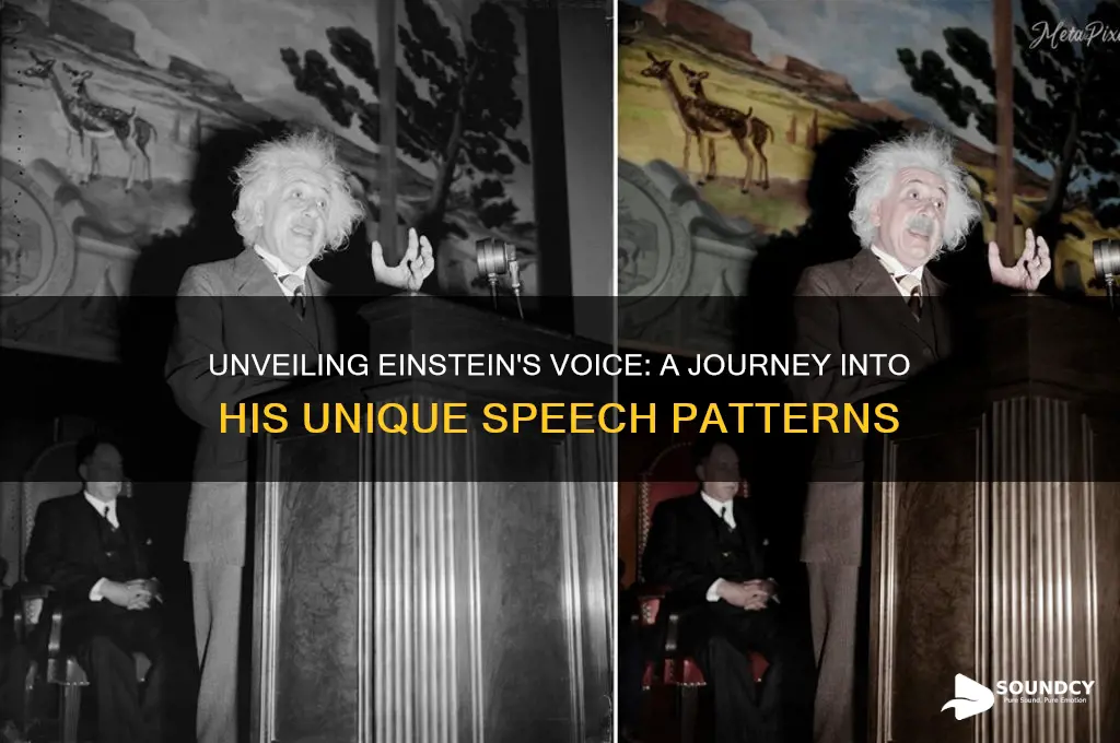 what did einstein sound like