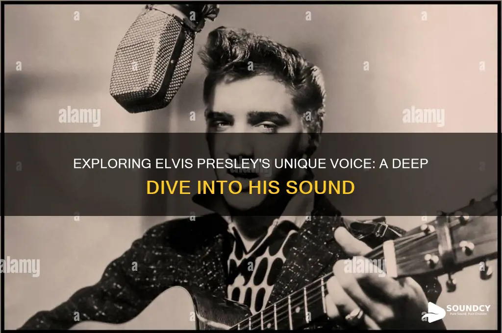 what did elvis sound like