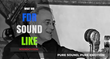 Unveiling FDR's Voice: A Journey into His Iconic Speeches and Tone