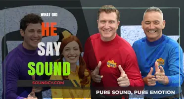 Decoding the Mystery: What Did He Say Sound Explained