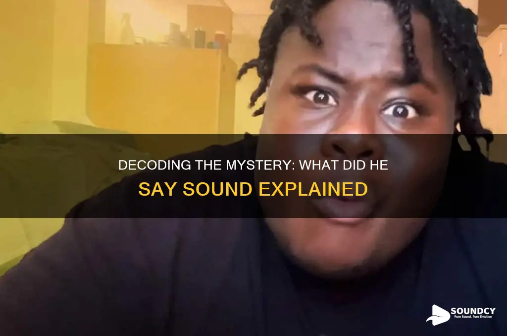 what did he say sound