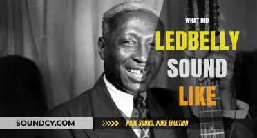 Unraveling the Raw, Soulful, and Powerful Voice of Lead Belly