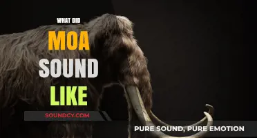 Unveiling the Lost Calls: Reconstructing the Vocalizations of the Extinct Moa