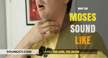 Unveiling Moses' Voice: Exploring the Biblical Leader's Possible Tone and Accent