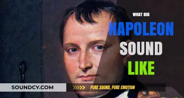 Unveiling Napoleon's Voice: Reconstructing the Emperor's Unique Speech Patterns