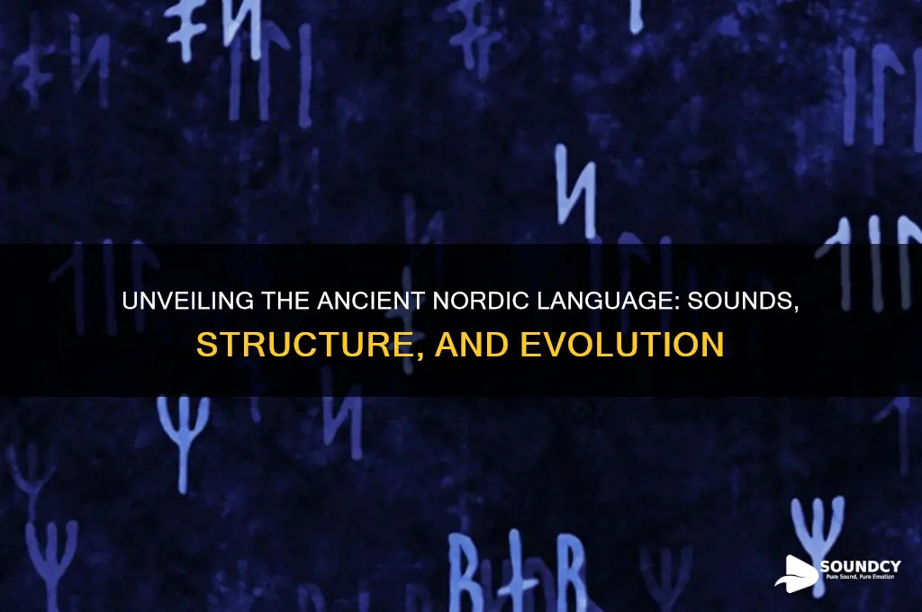 what did nordic sound like