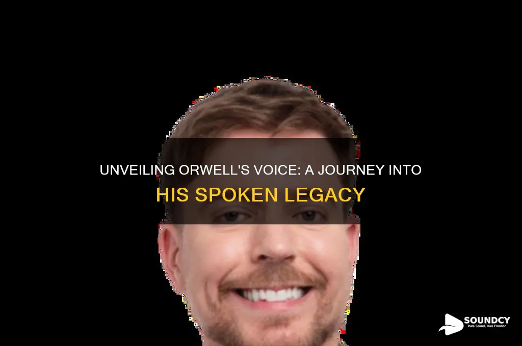 what did orwell sound like