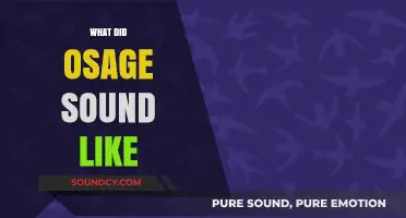 Unveiling the Lost Melody: Reconstructing the Osage Language's Unique Sound
