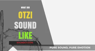 Unveiling Ötzi's Voice: Reconstructing the Iceman's Ancient Speech Patterns