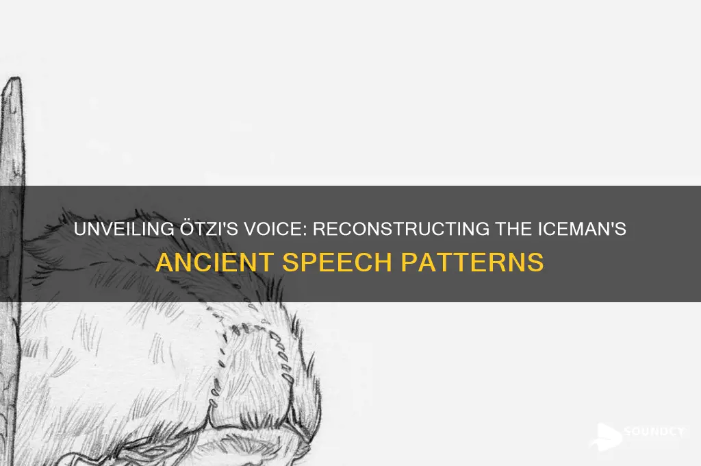 what did otzi sound like