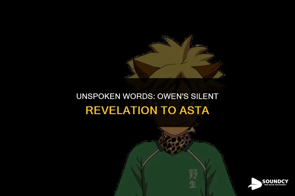 what did owen tell asta that the sound wentsilent