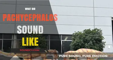 Unveiling Pachycephalosaurs' Lost Voices: Reconstructing Their Ancient Soundscape