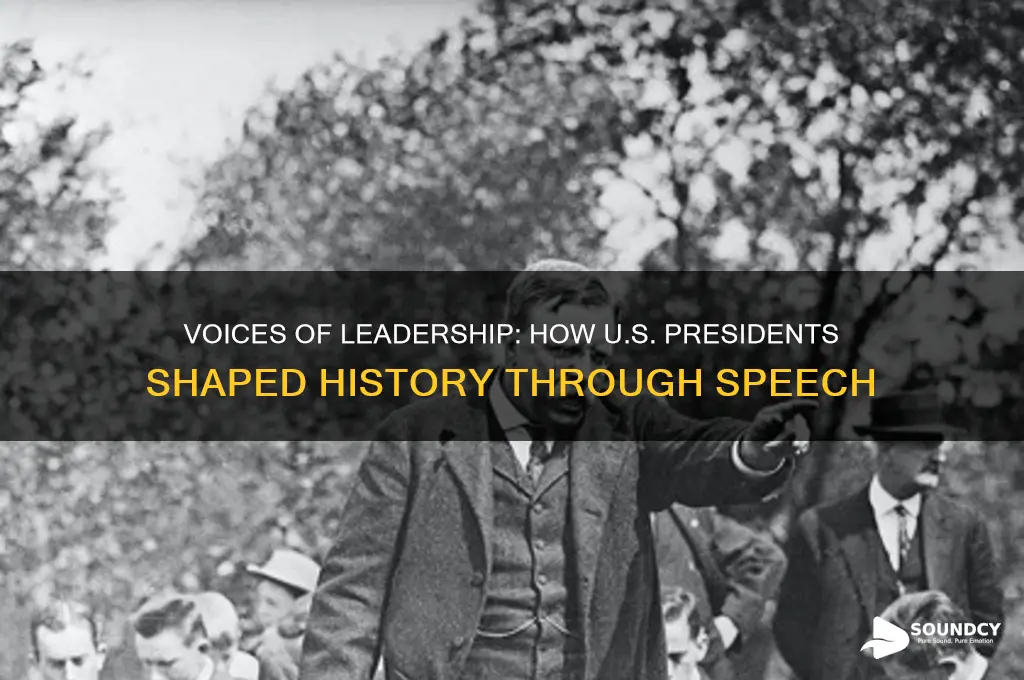 what did presidents sound like