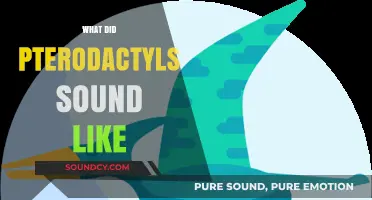 Unveiling the Ancient Calls: What Did Pterodactyls Sound Like?