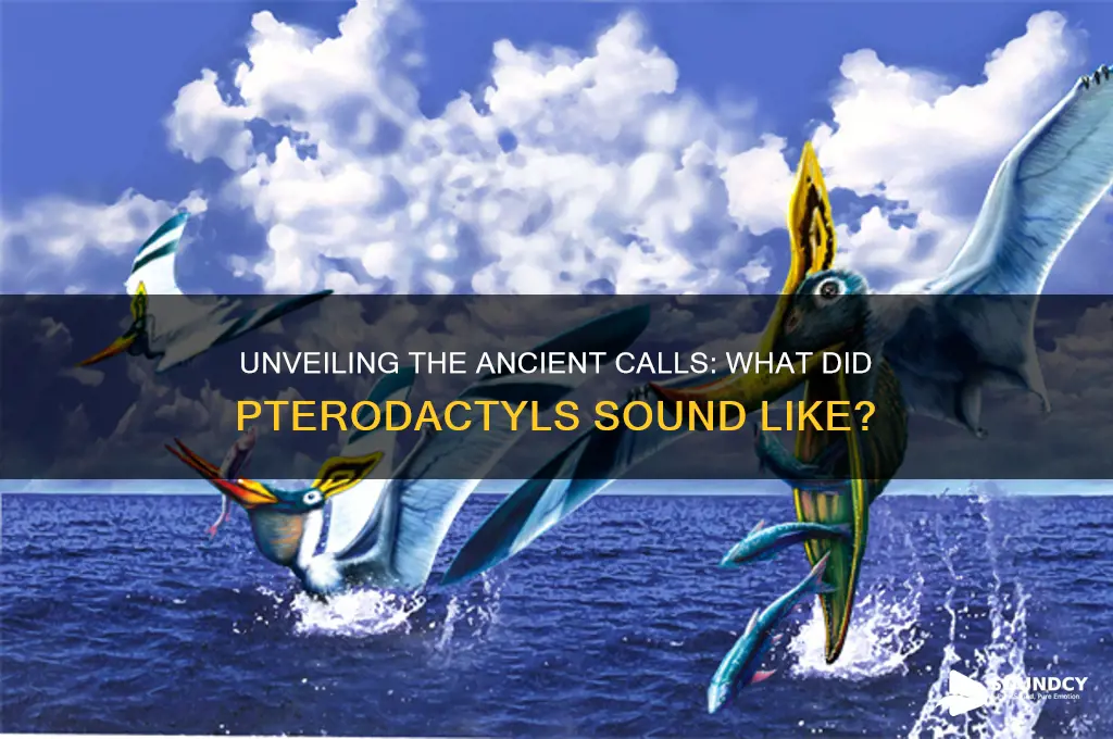 what did pterodactyls sound like