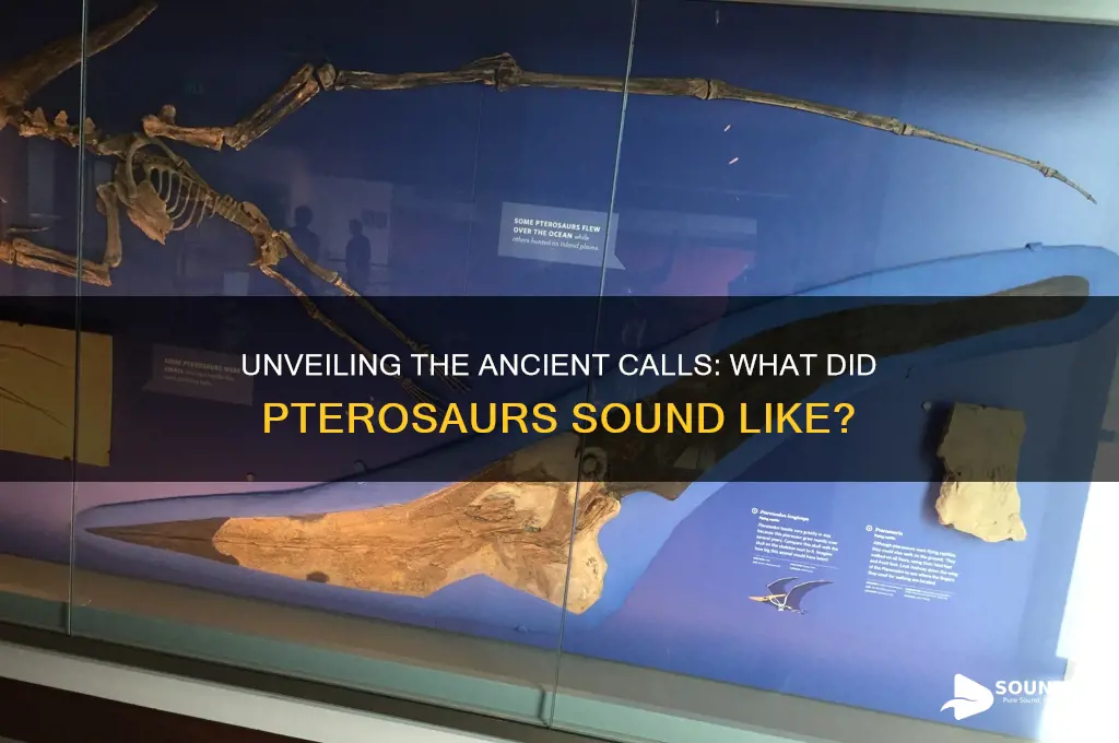 what did pterosaurs sound like