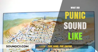 Unraveling the Lost Sounds of Punic: A Linguistic Journey into Antiquity