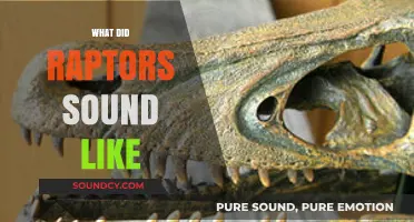 Unveiling the Ancient Calls: What Did Raptors Truly Sound Like?
