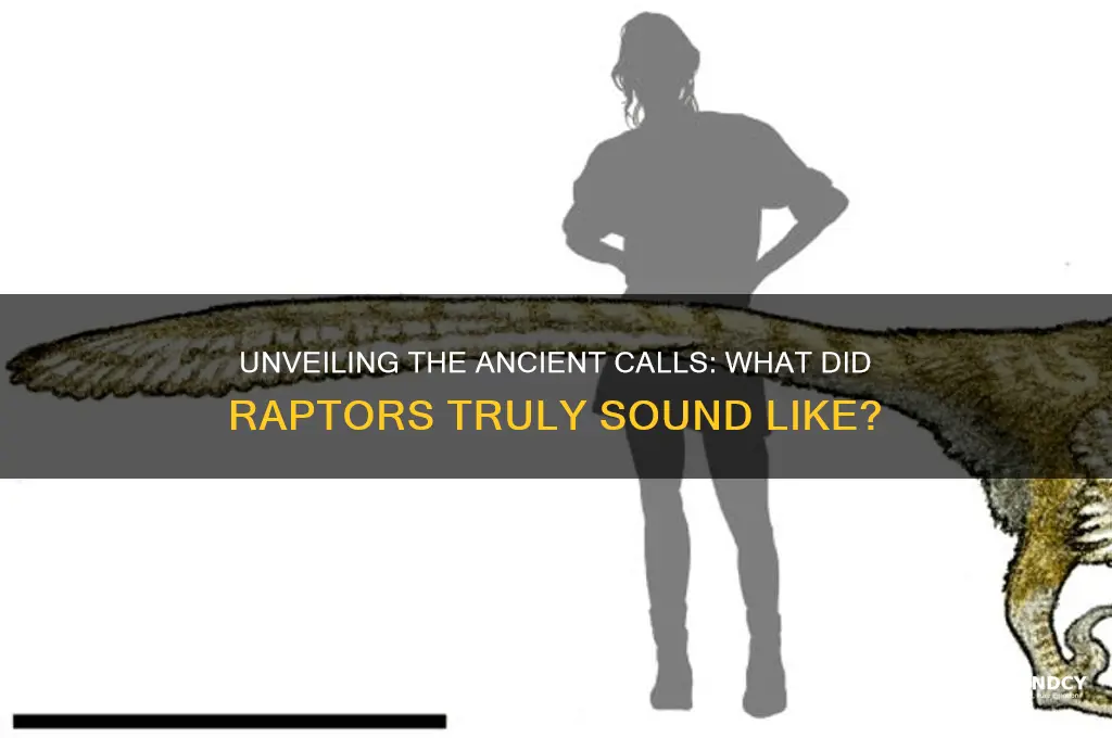 what did raptors sound like