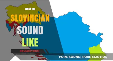 Unveiling the Lost Melody: Reconstructing the Unique Sound of Slovincian