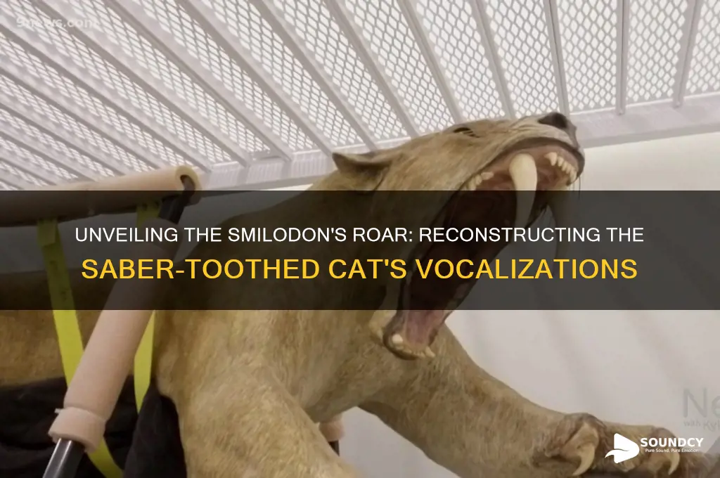 what did smilodon sound like