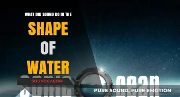 Echoes of Emotion: The Sonic Impact in 'The Shape of Water