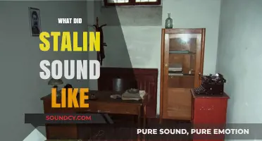 Unveiling Stalin's Voice: A Historical Auditory Exploration of the Soviet Leader