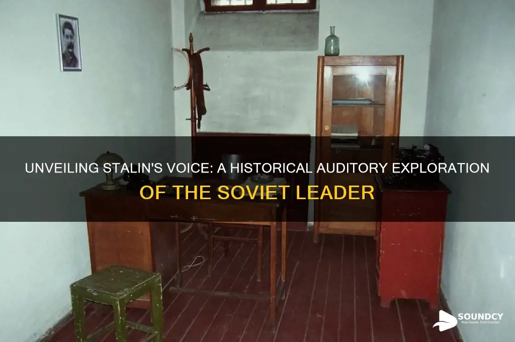 what did stalin sound like