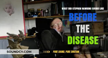 Stephen Hawking's Original Voice: A Pre-ALS Acoustic Legacy Revealed