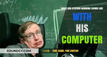 Decoding Stephen Hawking's Unique Voice: A Journey Through His Computer-Generated Sound