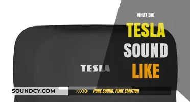 Unveiling Tesla's Voice: What Did the Genius Sound Like?