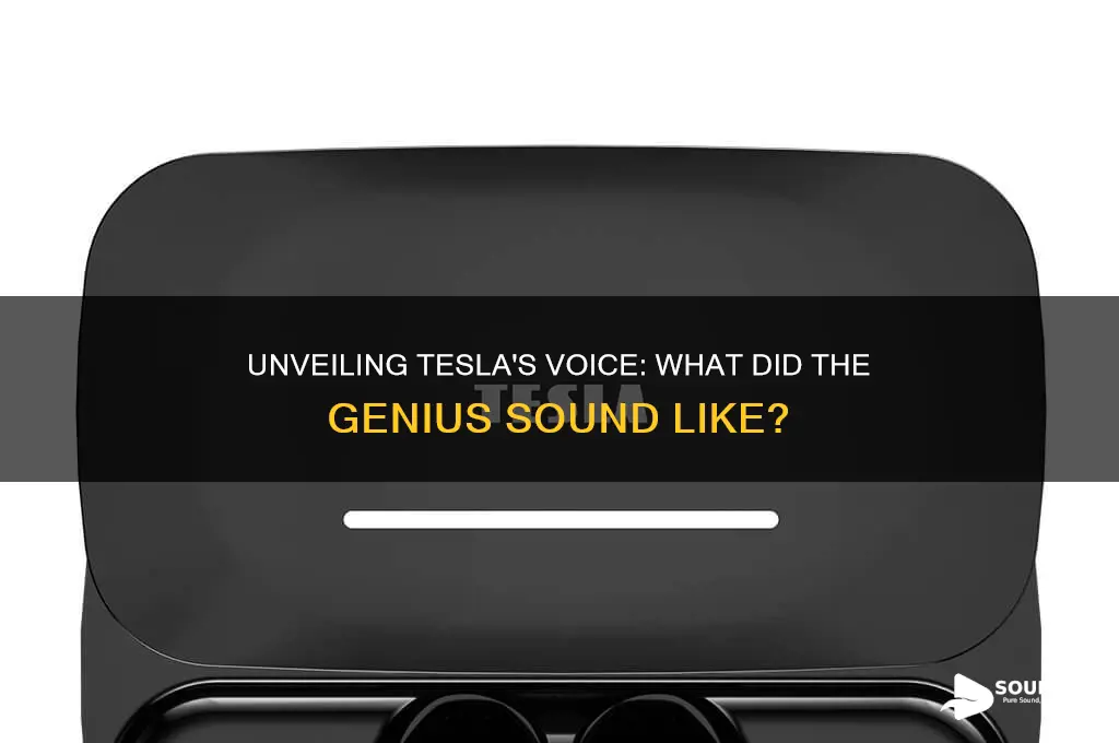 what did tesla sound like