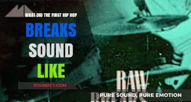Exploring the Roots: The Sonic Origins of Hip Hop Breaks