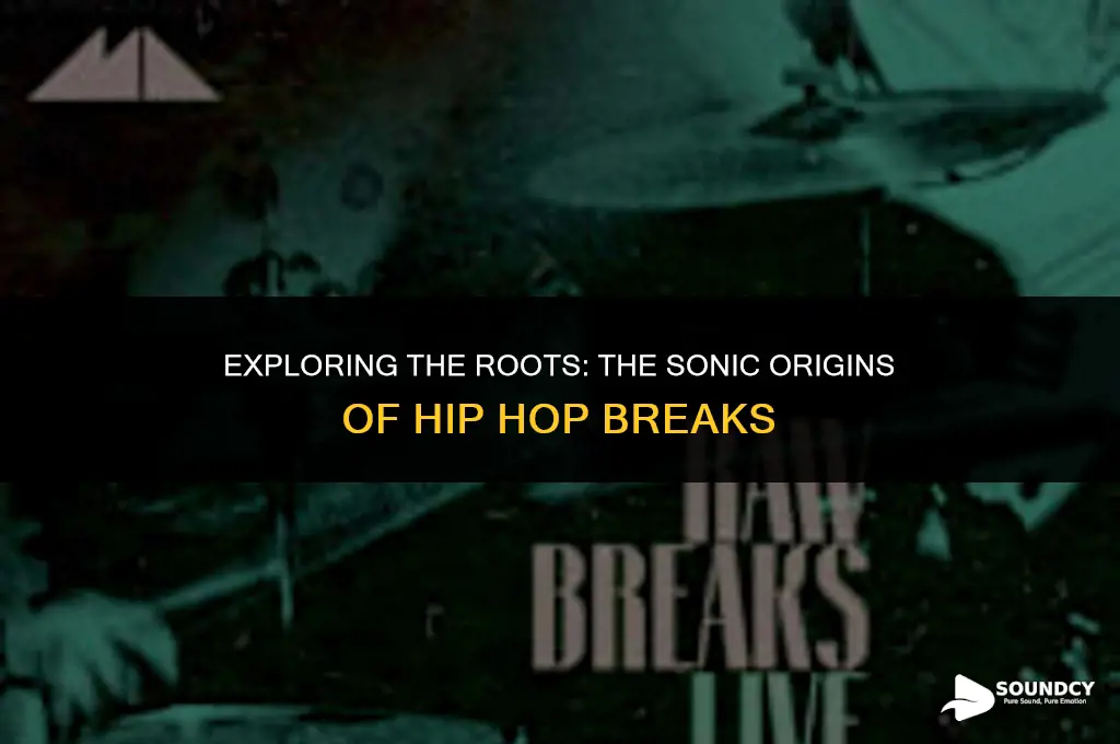 what did the first hip hop breaks sound like