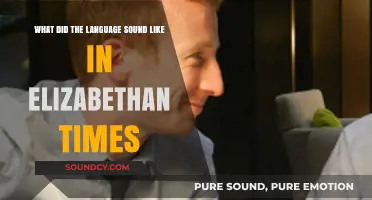 Echoes of the Past: Unveiling Elizabethan Language and Pronunciation